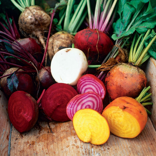 Frog Hollow Farm CSA