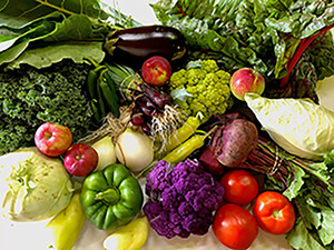 Post Apples CSA