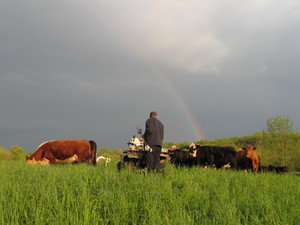 Baldwin Family Farms