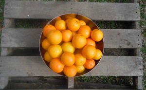 Heph'zibah and Beulah Farms, A Family Company