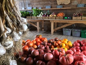 Frith Farm