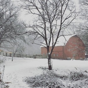 Philadelphia Community Farm