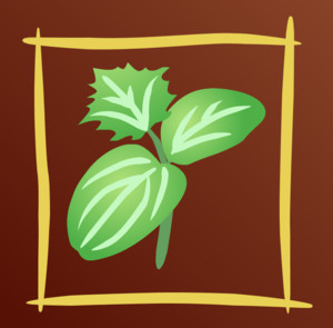 Dicot Farm