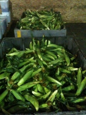Masonic Village Farm Market