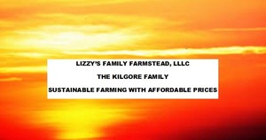 Lizzy's Family Farmstead, LLC