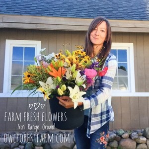 Owl Forest Farm