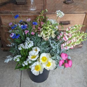 Bluegreen Gardens