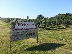 Covered Bridge Farms LLC