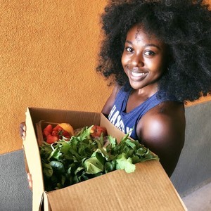 Daily Harvest Express