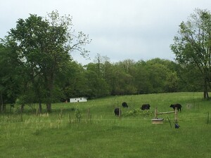Bluegrass Bounty Farm