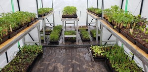 Quarter Acre Farm