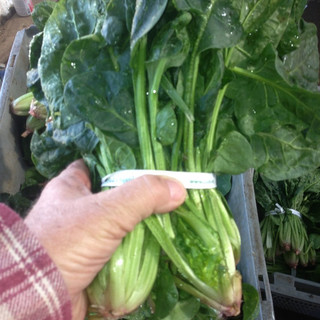 Eatwell Farm