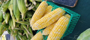 South Collier Market Naples