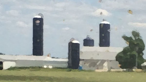 Blue Silo Farms