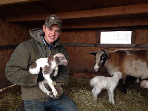 Honey Brook Farms
