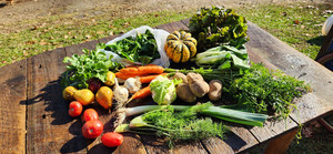 Many Hands Organic Farm