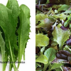 Highland Orchards Farm Market