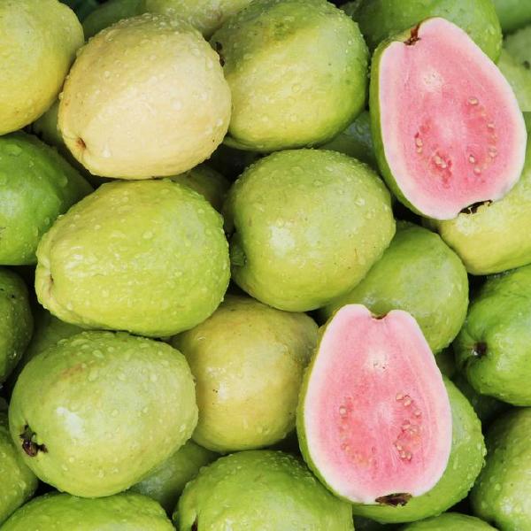 guavas