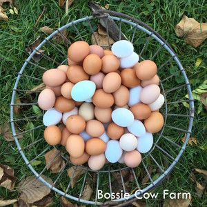 Bossie Cow Farm