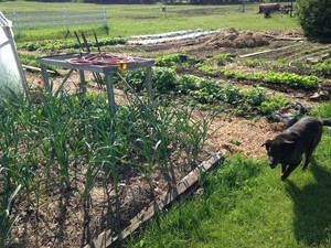 Flycreek Farm