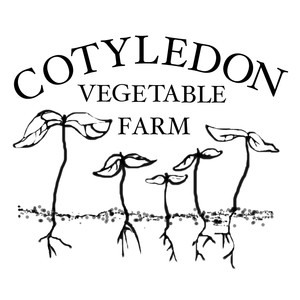 Cotyledon Community Vegetable Farm