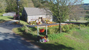 Angevine Farm