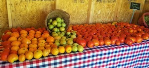 Glory Hill Family Farm