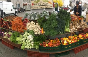 The Kitchen Garden