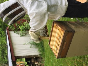 Angel Family Farms, LLC
