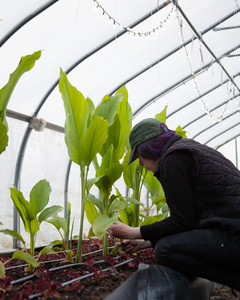 Maitri Farm