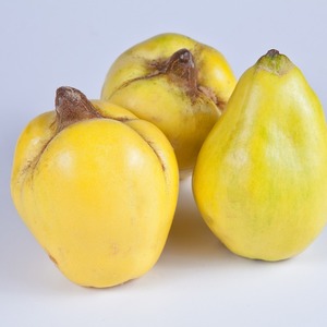 LocalHarvest