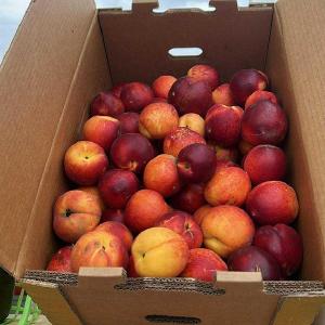 Country Fresh Produce
