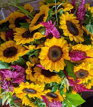 Sunhearth Flower Farm
