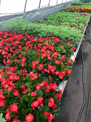 Stillwater Farmers Market