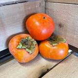 Agriberry Farm and CSA