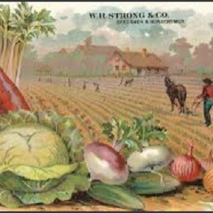Hale's Harvest