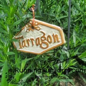 Running Bug Farm
