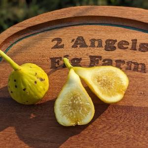 2 Angels Farm