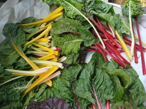 Orchard Country  Produce and Fruit Farm