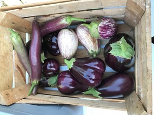Kessler Family Farm
