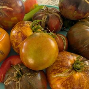 Kern River Permaculture