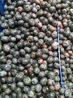 Masonic Village Farm Market