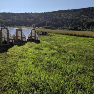 Robariah Farms