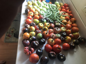 P.O.P.S. ( Pike's Organic Products and Services)  Farms