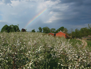 Quonquont Farm