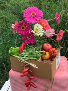 Wind Hill Community Farm