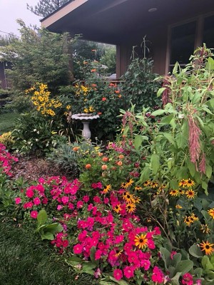 Freedom Flowers