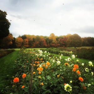 Roots to River Farm