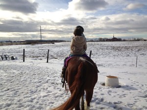 Sunnyridge Schoolhouse Farm