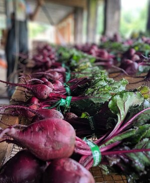 Helsing Junction Farms CSA